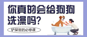 宠物知识科普