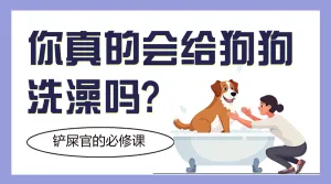 宠物知识科普