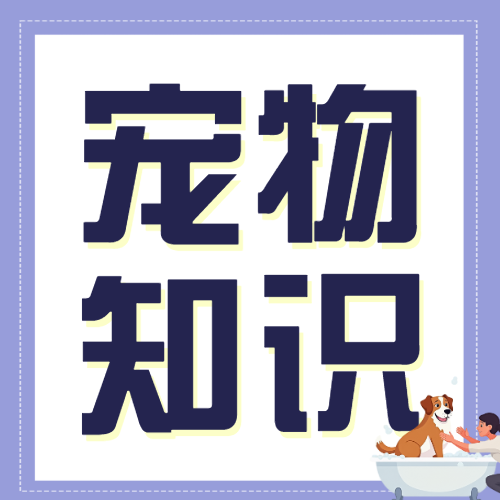 宠物知识科普