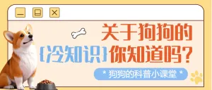 宠物知识科普