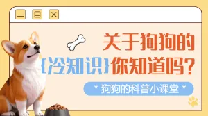 宠物知识科普