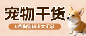 宠物知识科普