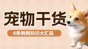 宠物知识科普