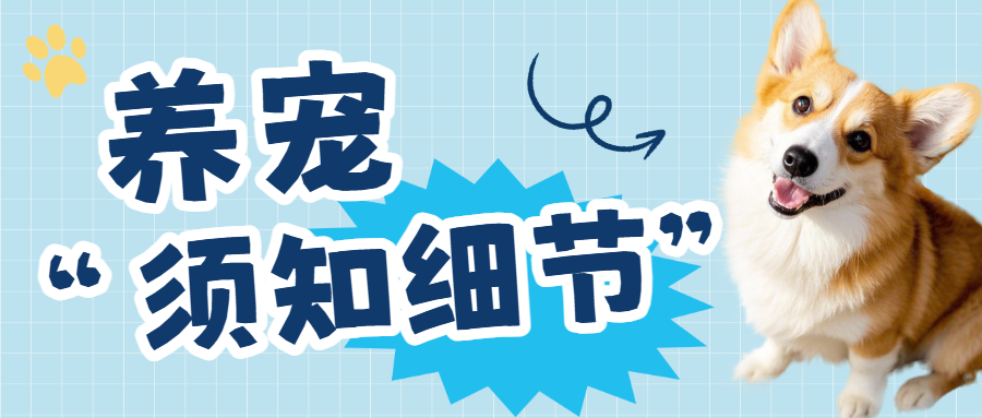 宠物养宠知识科普