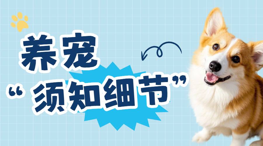 宠物养宠知识科普