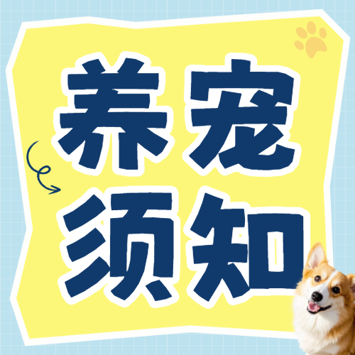 宠物养宠知识科普