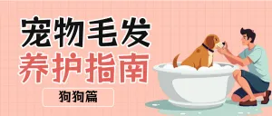 宠物养护指南攻略