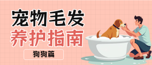 寵物養(yǎng)護(hù)指南攻略