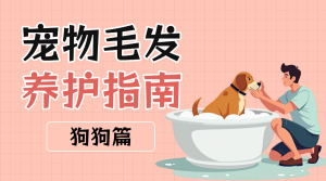 寵物養(yǎng)護指南攻略