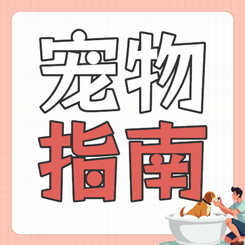 宠物养护指南攻略