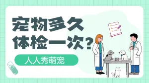 宠物知识科普