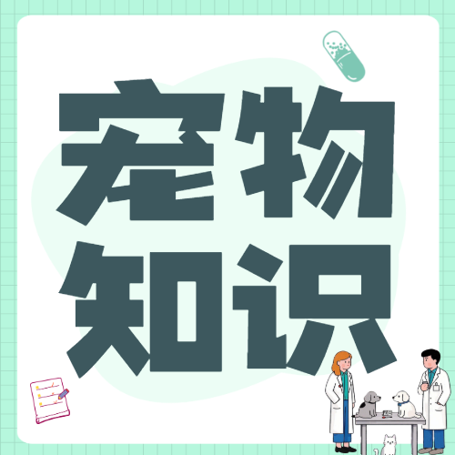 宠物知识科普
