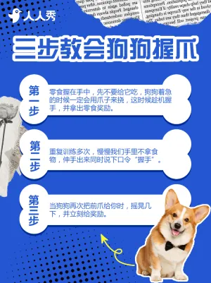 宠物展活动宣传