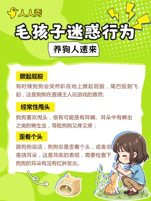 宠物活动宣传