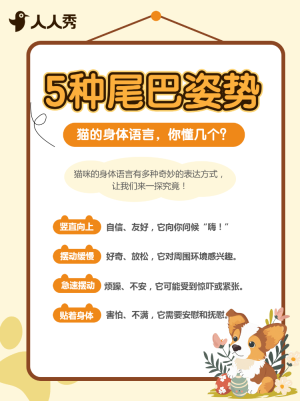 寵物派對(duì)活動(dòng)宣傳