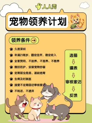 宠物领养计划活动