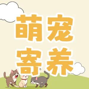 宠物领养计划活动
