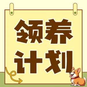 宠物领养活动