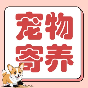 宠物寄养宣传