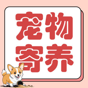 寵物寄養(yǎng)宣傳