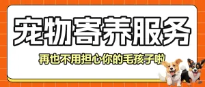 宠物春节上门服务