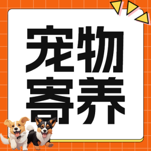 寵物春節(jié)上門服務(wù)