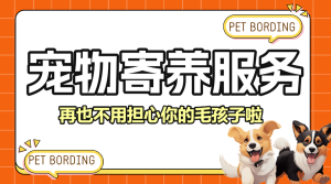 寵物春節(jié)上門服務