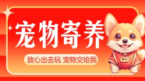 春节宠物寄养服务活动促销