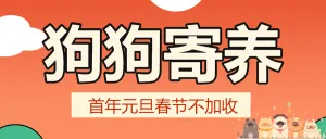 元旦新年宠物寄养活动宣传