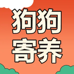 元旦新年宠物寄养活动宣传