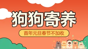 元旦新年宠物寄养活动宣传