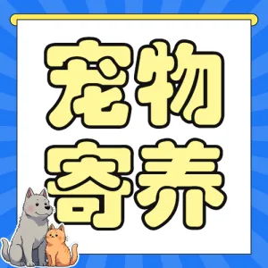 宠物寄养喂养服务营销