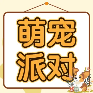 宠物派对活动宣传