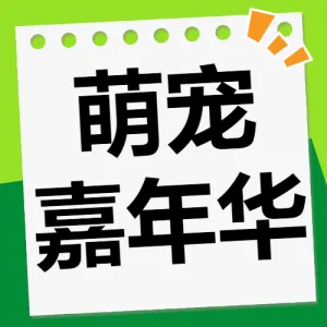 宠物活动宣传