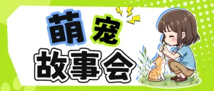 宠物活动宣传
