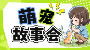 宠物活动宣传