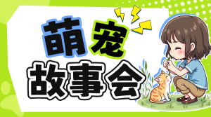 寵物活動(dòng)宣傳