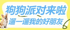 宠物活动宣传
