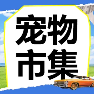 宠物活动宣传