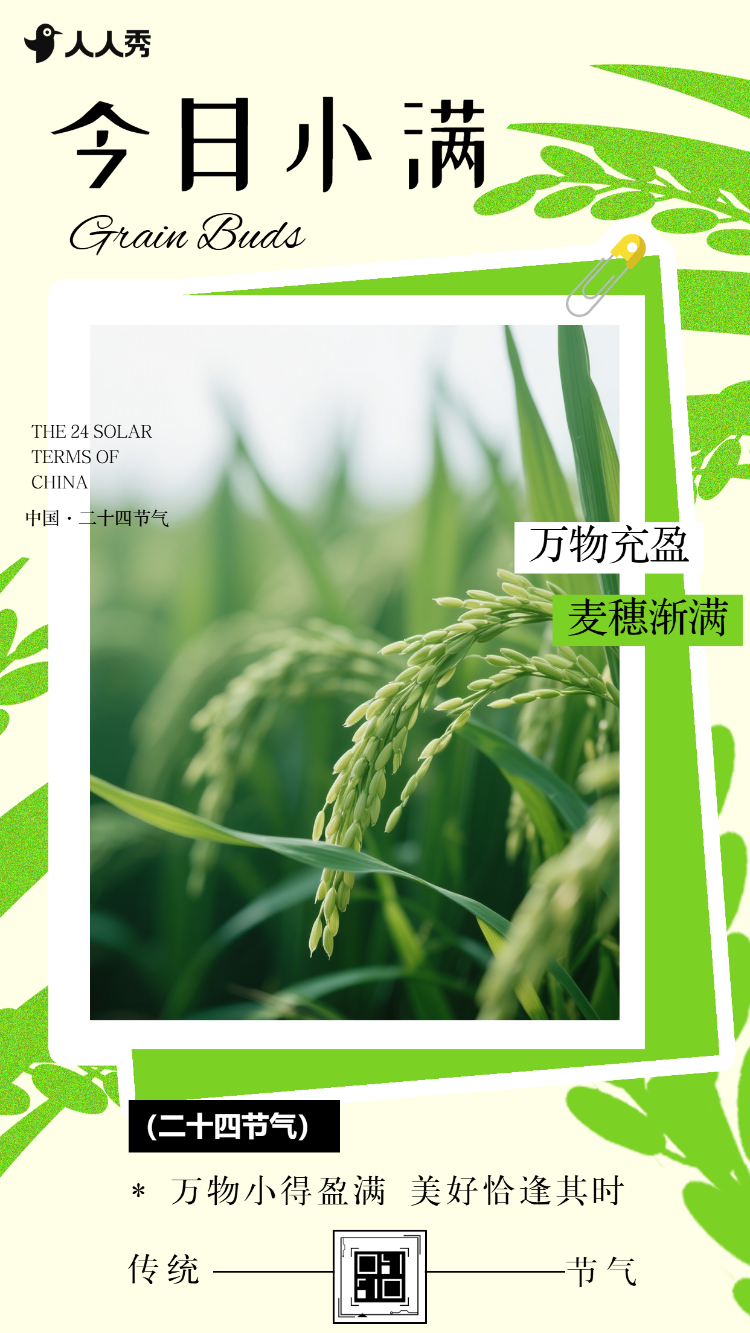 二十四节气小满节气祝福企业节气宣传