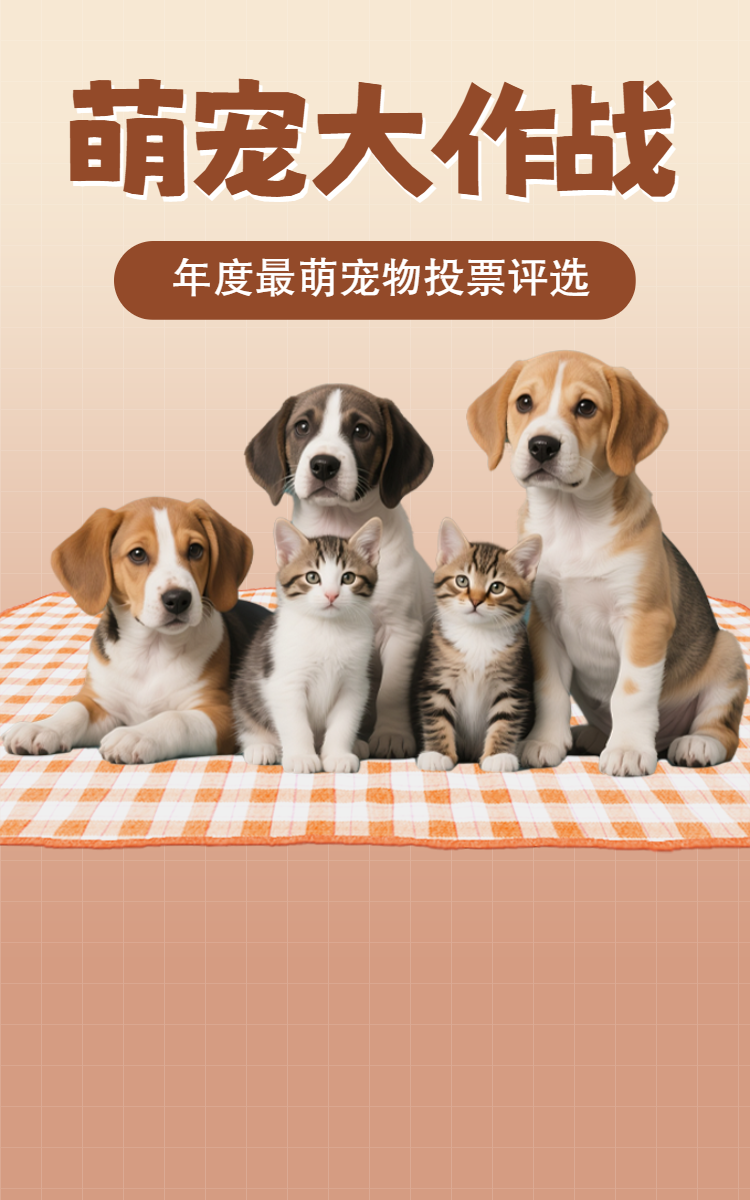 头图
