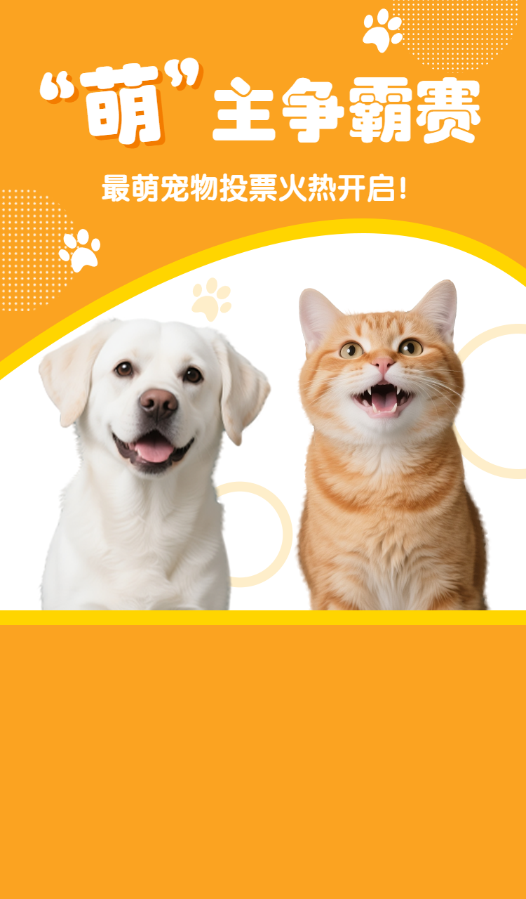 头图