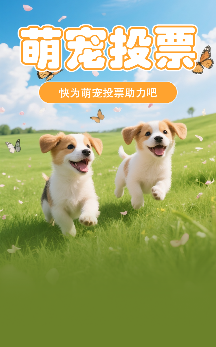 头图
