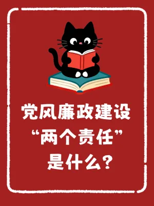党风廉政建设“两个责任”是什么？