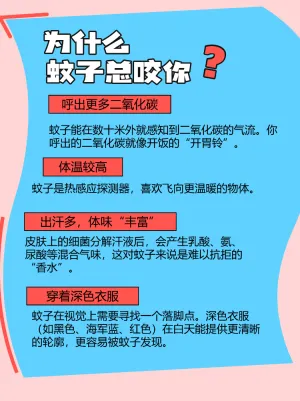 科学解码“招蚊体质”