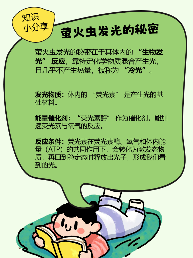 奇怪的科学知识又增加了